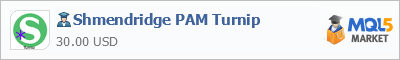 Buy Shmendridge PAM Turnip Expert Advisor in the store selling algo trading systems