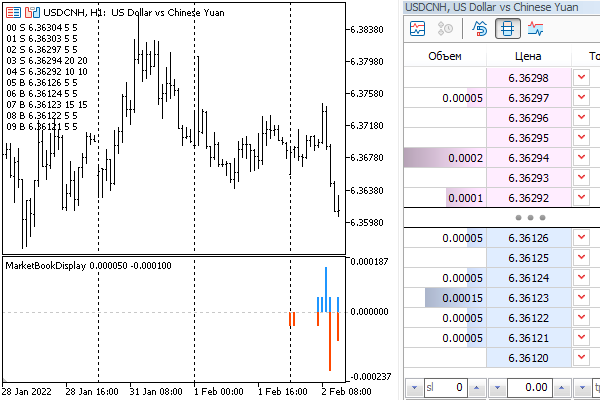 The contents of the order book in the MarketBookDisplay.mq5 indicator on the USDCNH chart