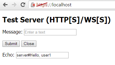 Echo service web page on WebSocket